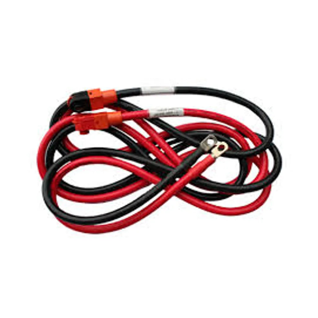 RCT BAT DYNESS BX BATTERY CABLES