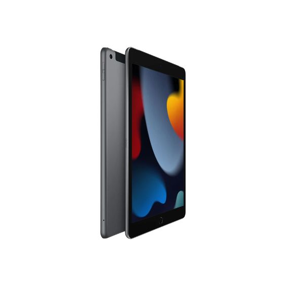 iPad 10.2-inch (9th gen) Wi-Fi + Cellular 64GB - Space Grey