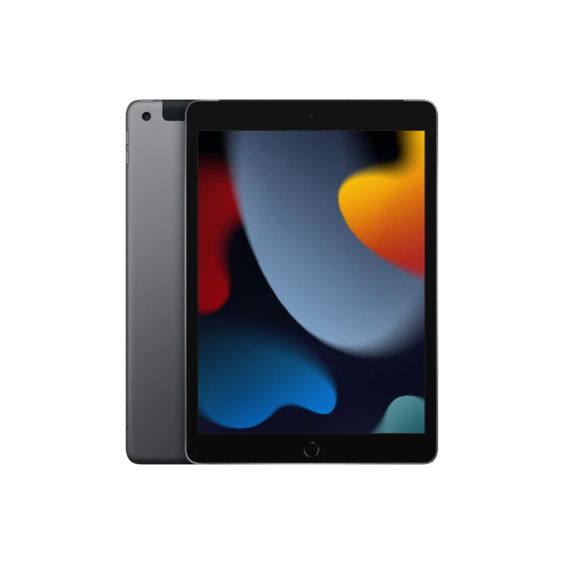 iPad 10.2-inch (9th gen) Wi-Fi + Cellular 64GB - Space Grey